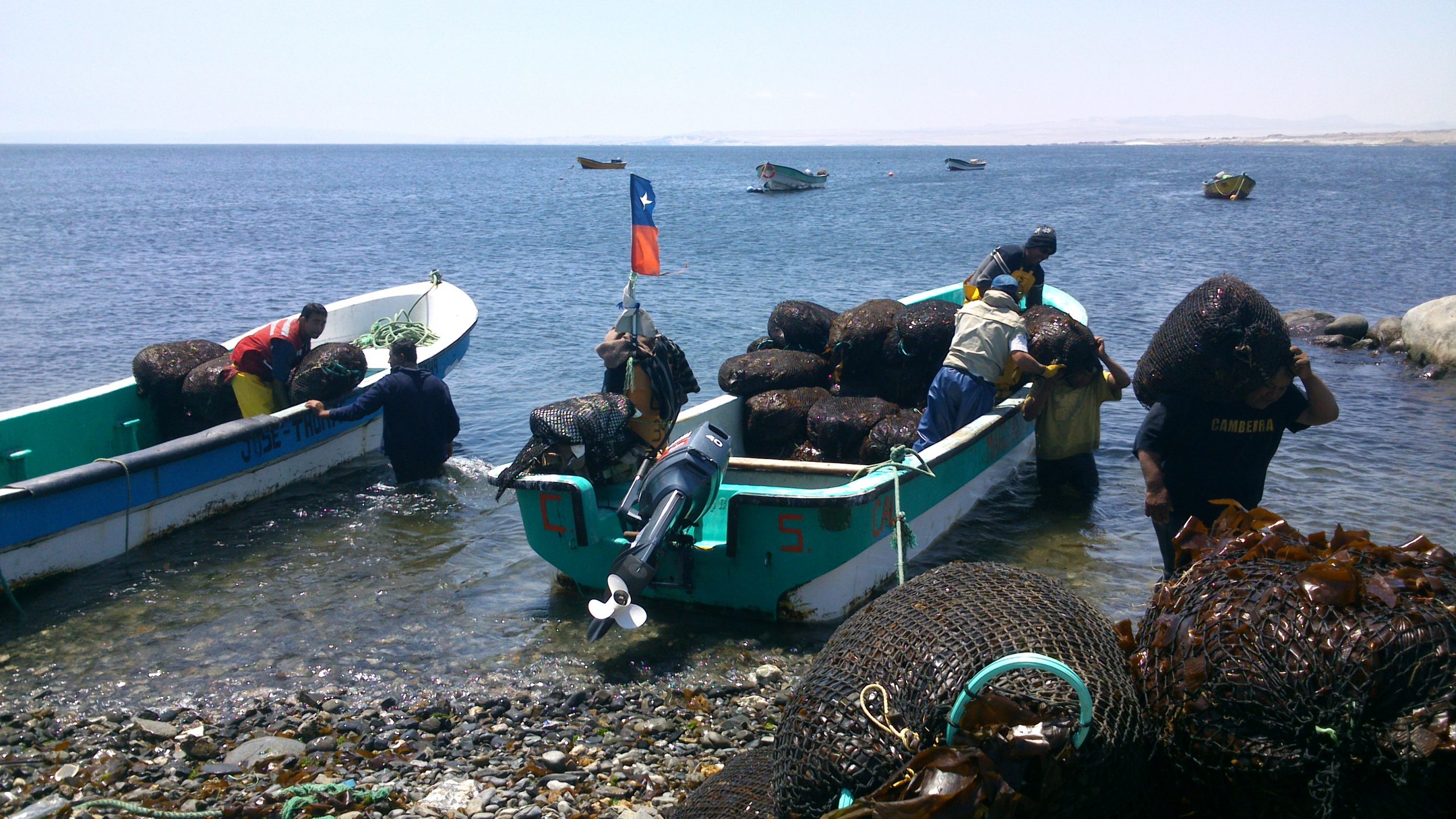 Comisión de Pesca del Senado despacha a Sala articulado de proyecto bentónico