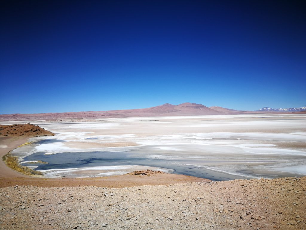 Albemarle y SQM se enfrentan por acceso a estudio sobre el agua en el Salar de Atacama