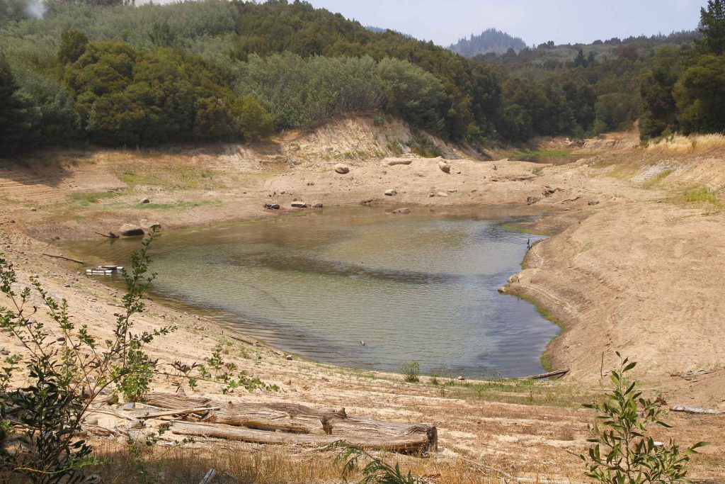 Sequía, deforestación y basura son los temas ambientales que más preocupan a los chilenos, según encuesta