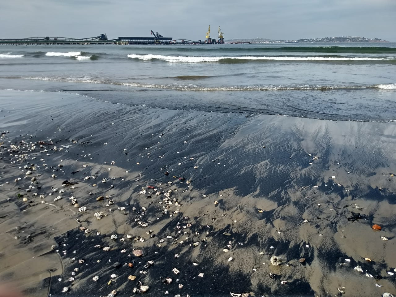 Reportan sexto día de varamiento de carbón en bahía de Quintero