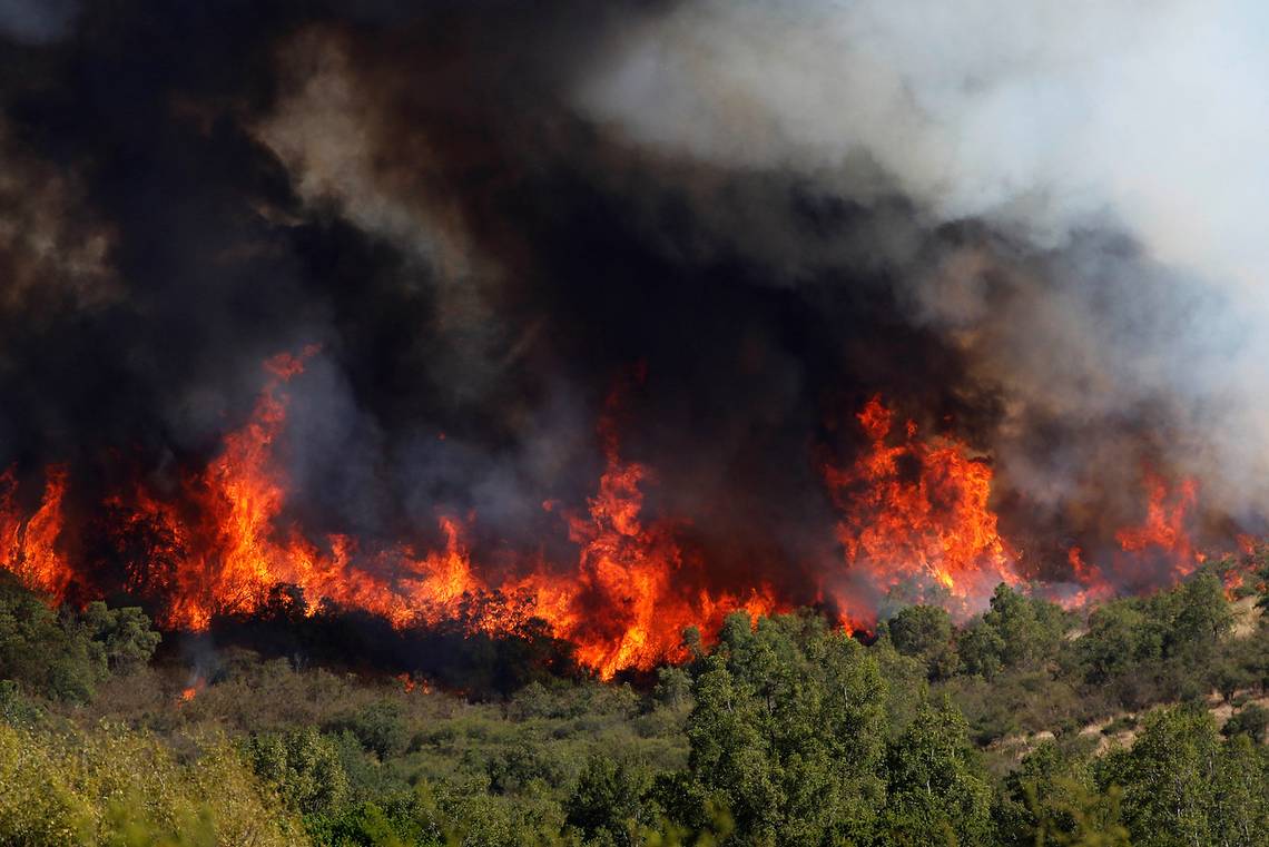 Presentan proyecto de Ley para prohibir inmobiliarias en suelos siniestrados por incendios forestales