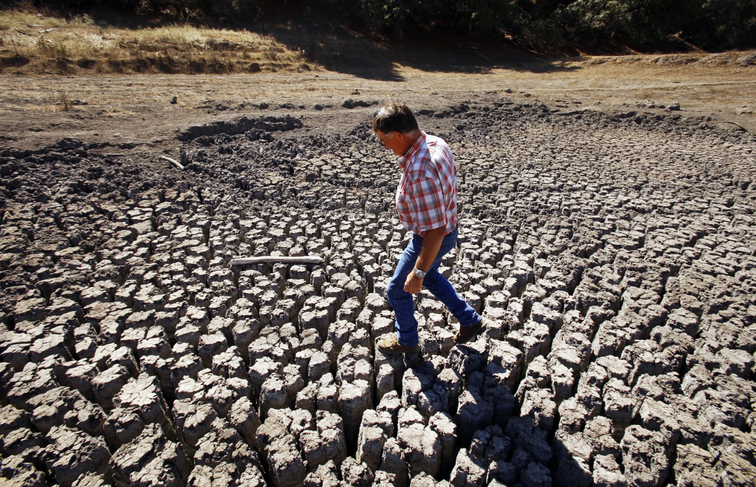 Los Ríos fue declarada bajo escasez hídrica: La mitad del país está en una “extraordinaria sequía”