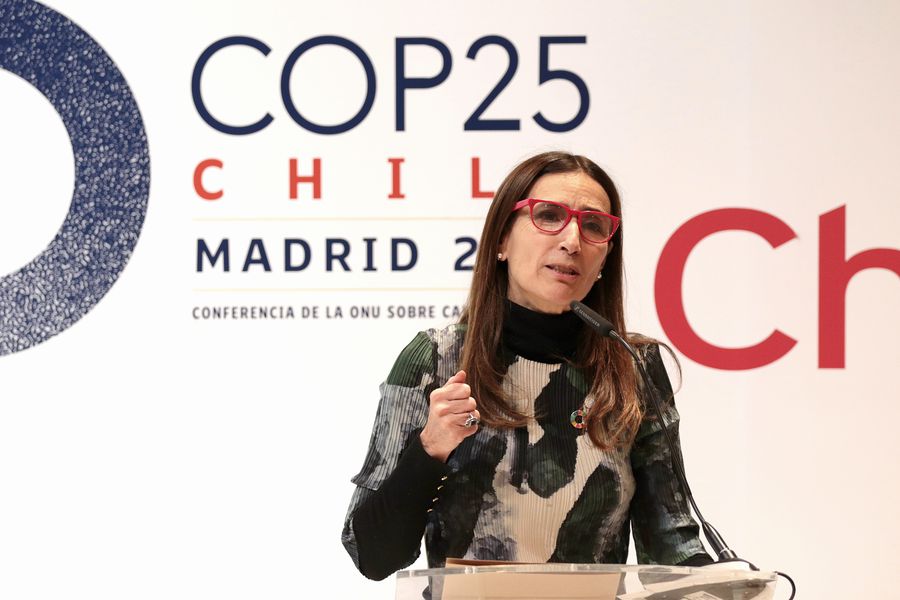 El análisis medioambiental de la ministra Schmidt a un año de la COP25