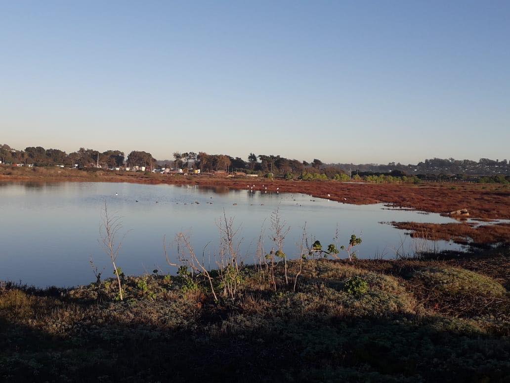 Lagunas de Llolleo y humedal río Maipo: los temas que marcan tramitación del megapuerto en San Antonio