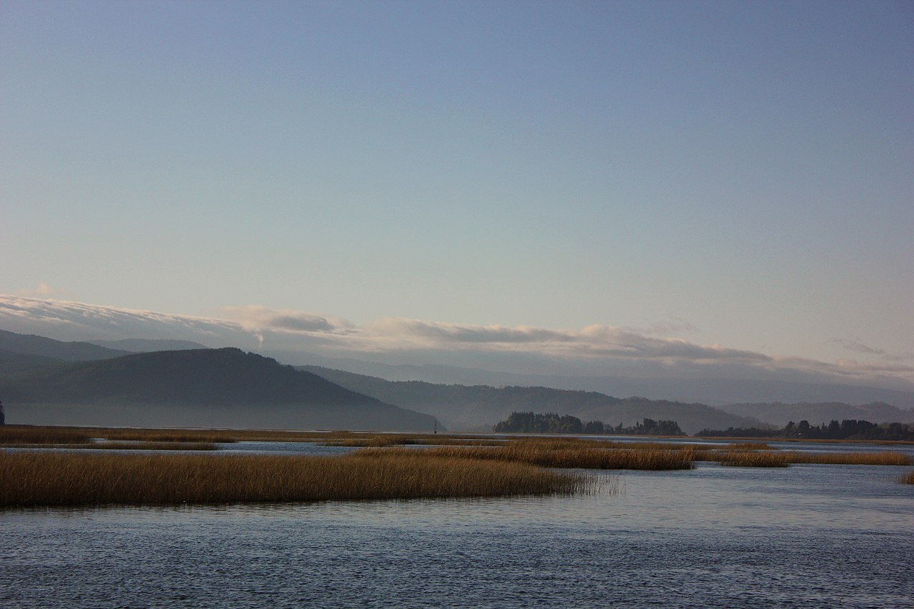 Municipio de Valdivia solicita a Bidema de la PDI por eventuales daños a santuario de la naturaleza