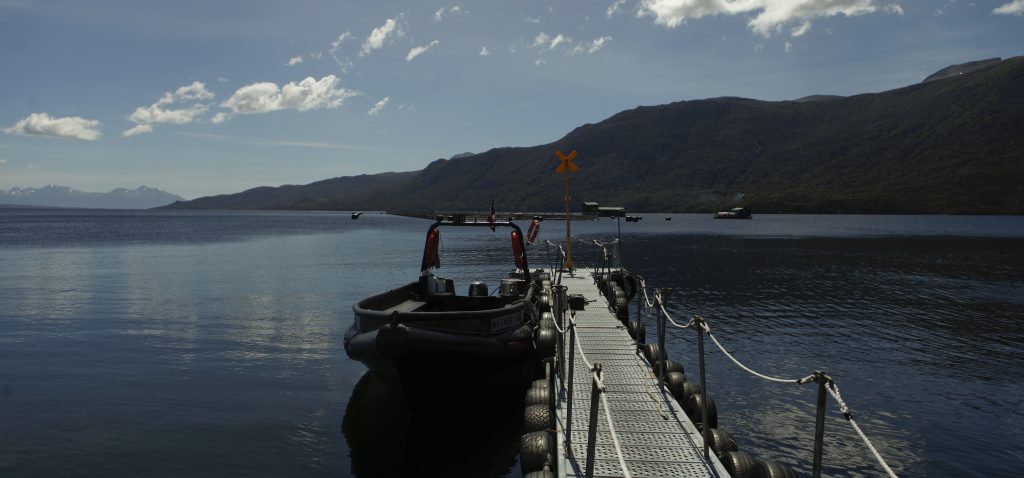 Pescadores de la Conapach se oponen a dar categoría de fauna acompañante a salmones escapados