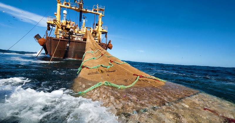 Expertos y Gobierno debaten por pesca ilegal: en merluza mueve US$ 60 mills.
