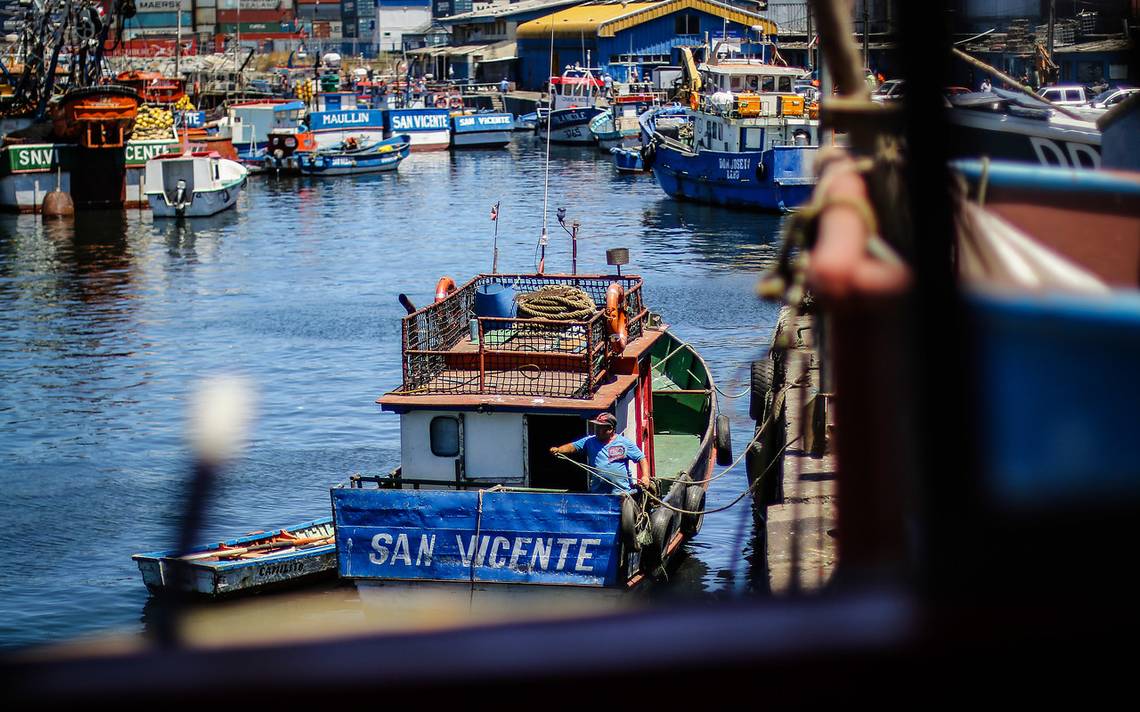 Pescadores piden urgente suspender la extracción de sardina y anchoveta en el Biobío
