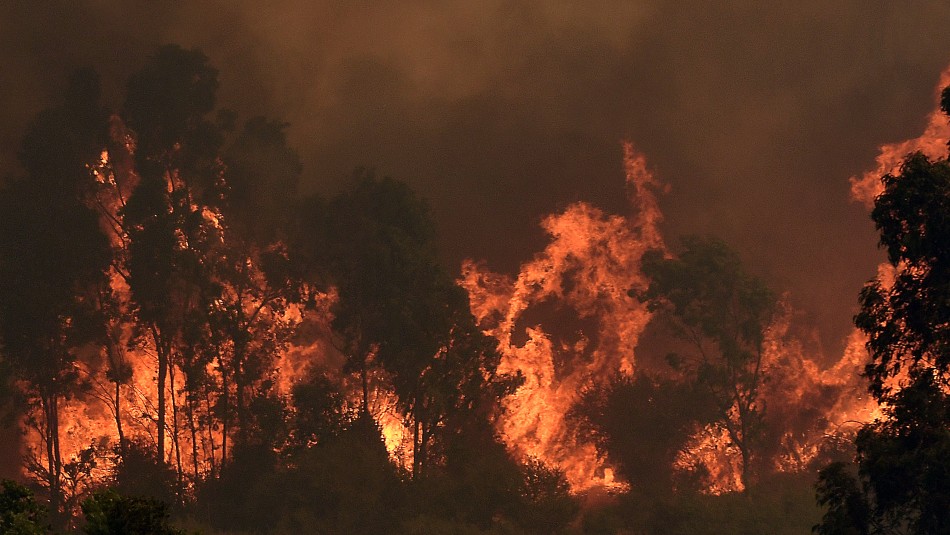 Alcalde de Quilpué sobre zona siniestrada por incendio: “Con el plan regulador nuevo ahí no se pueden construir edificios”