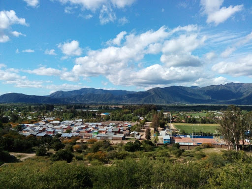 Desoladora batalla por el agua en Pichidegua: Tiene al borde de desaparecer a pequeños agricultores