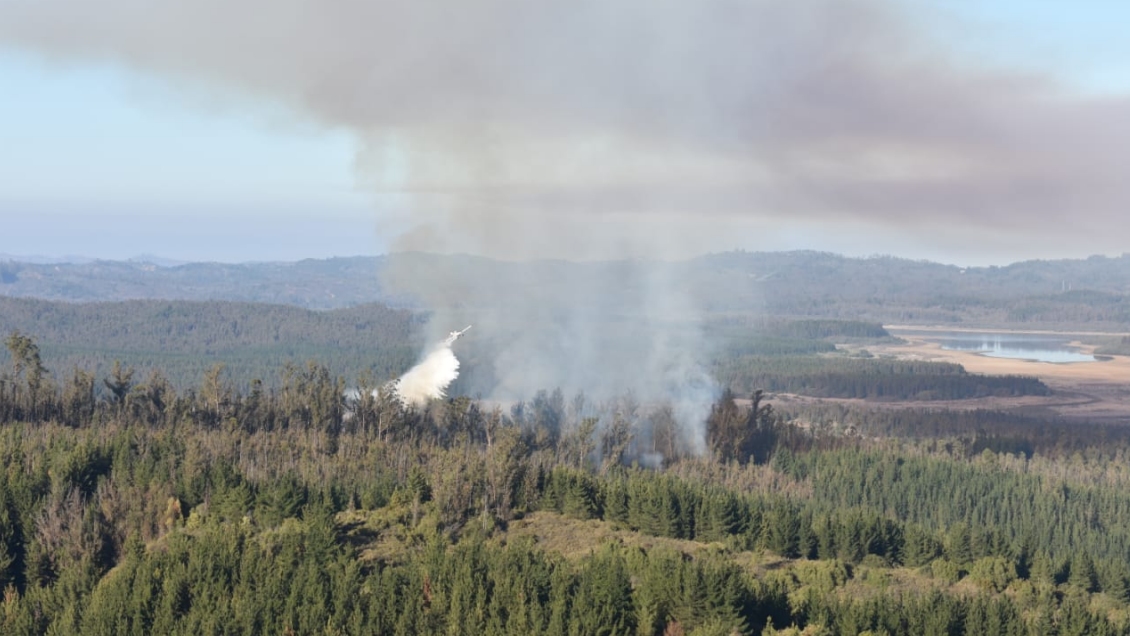 Amplio operativo por incendio forestal que afectó a Peñuelas