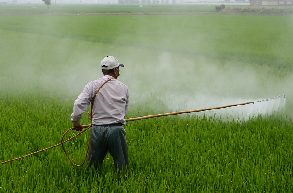 Riesgos a la salud: Chile autorizó 99 plaguicidas prohibidos en Europa, 40 altamente peligrosos