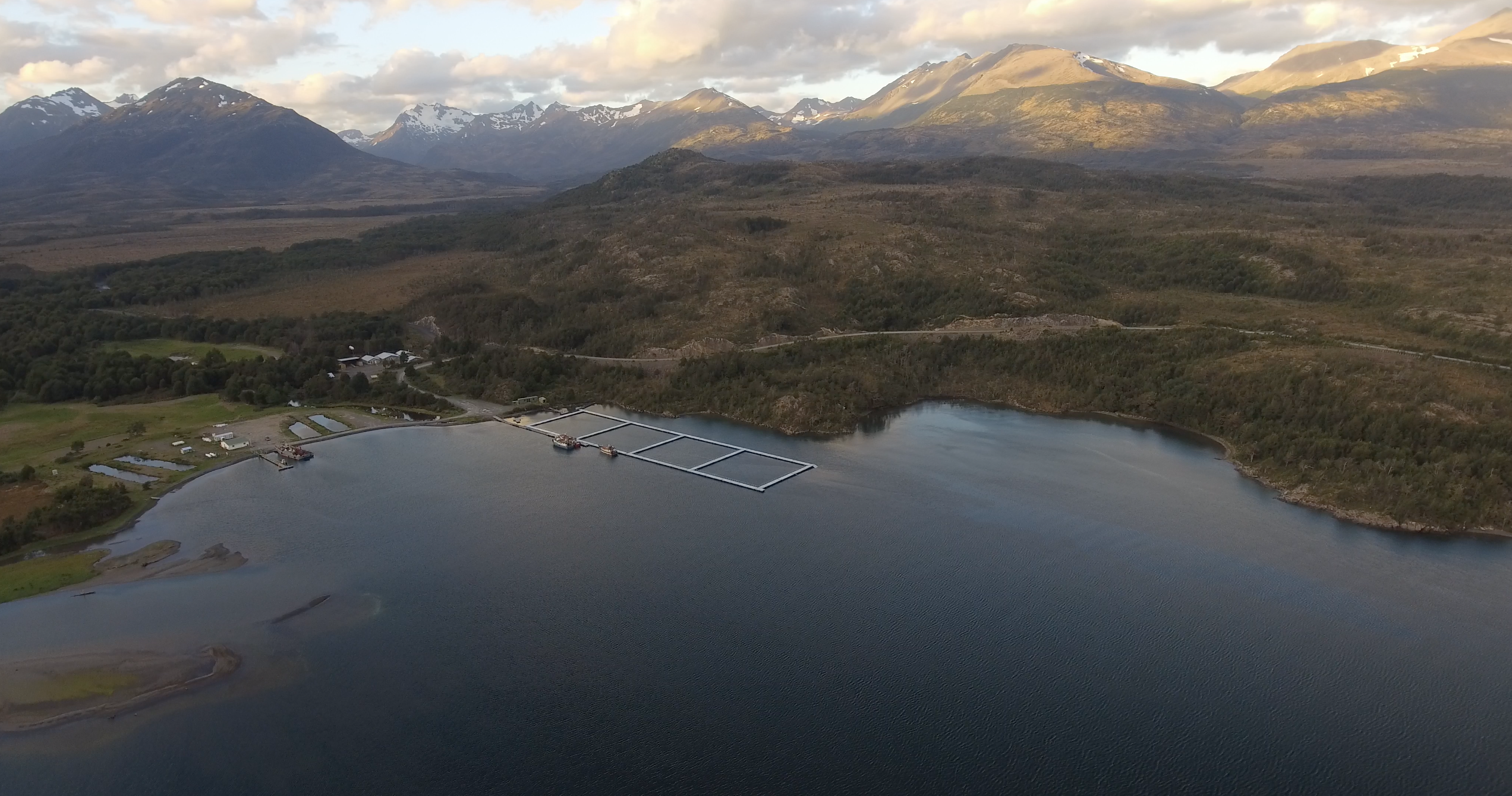 Hasta 1.000 embarcaciones diarias se desplazan en zonas de alimentación de ballenas azules en la Patagonia norte