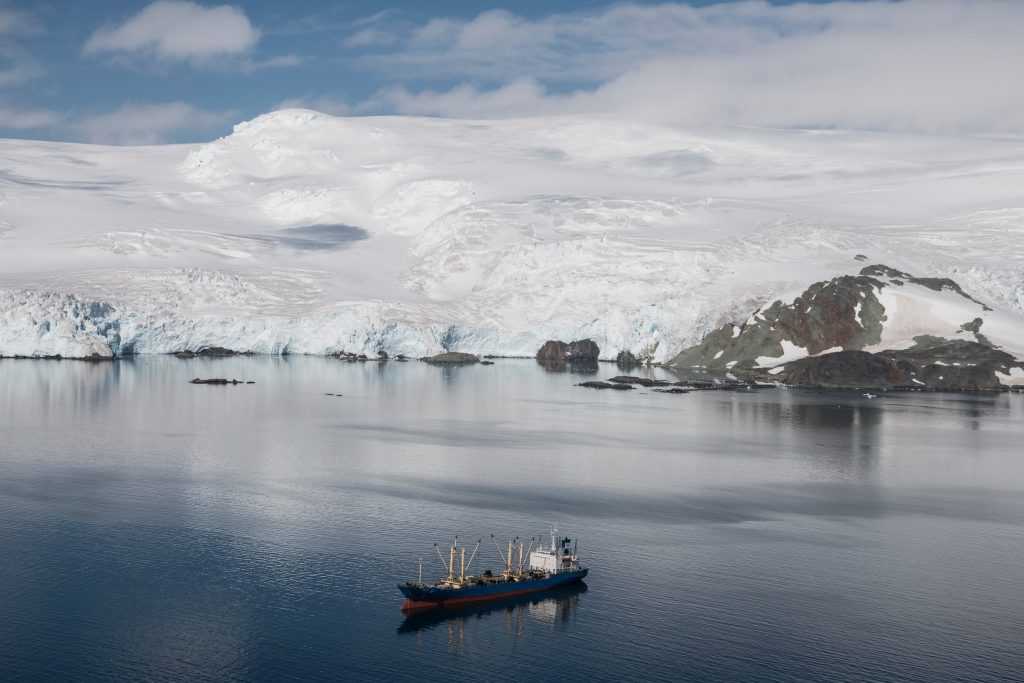 Pesca en el océano austral: Anuncian actualización de la Política Antártica Nacional