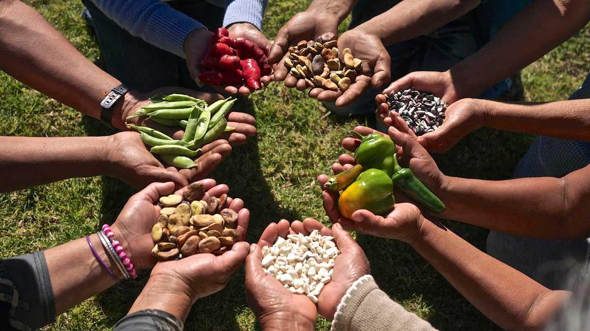 Agnes Kalibata, enviada especial de la ONU para la Cumbre de Sistemas Alimentarios: “Las mujeres rurales son las guardianas de la seguridad alimentaria”