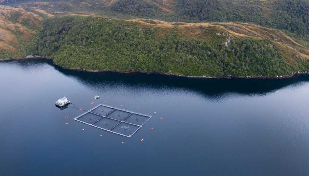 Avanza proyecto de ley de recuperación de fondos marinos en la acuicultura