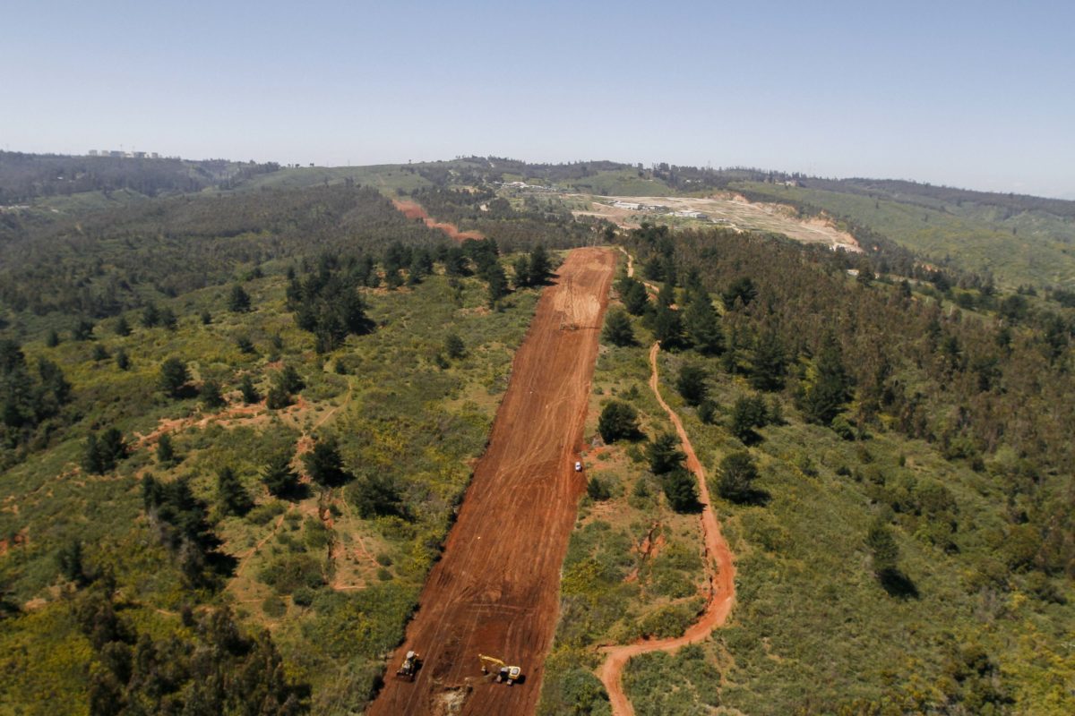 Bloomberg: Chile debe repensar su sector forestal si quiere ser carbono neutral