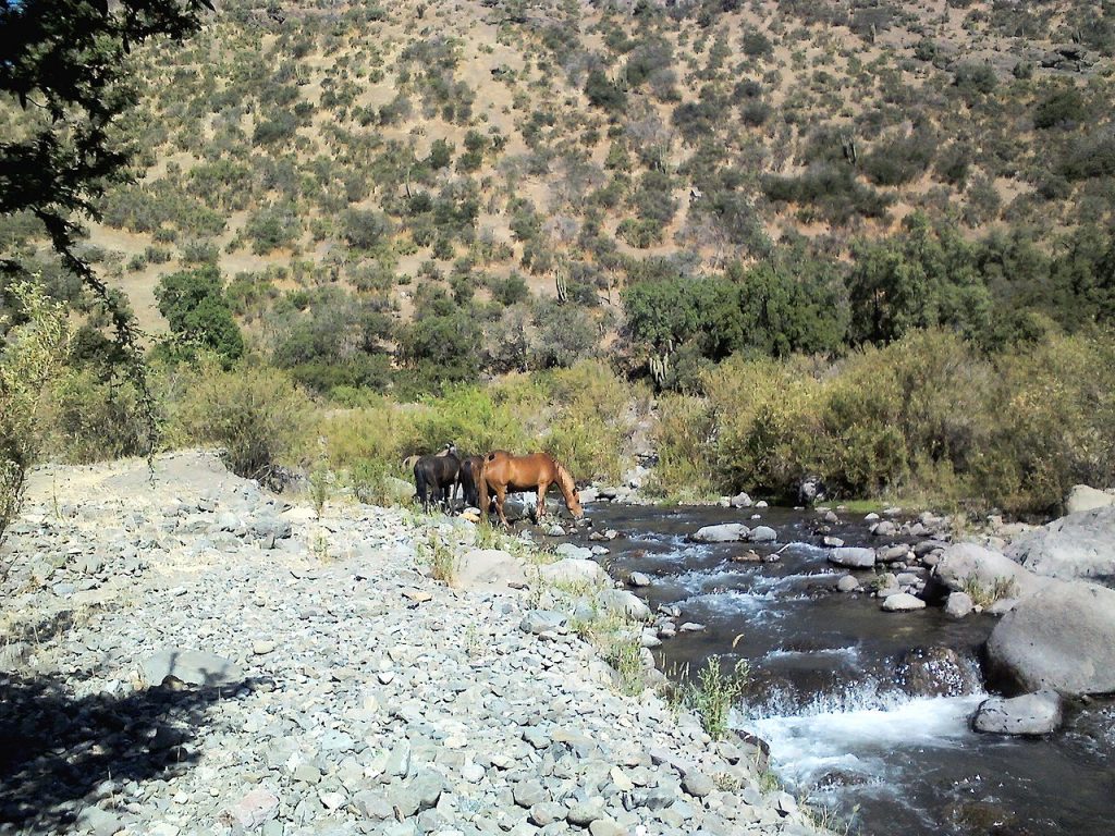 Autoridades locales denuncian presencia de arsénico y aluminio en Río Colina