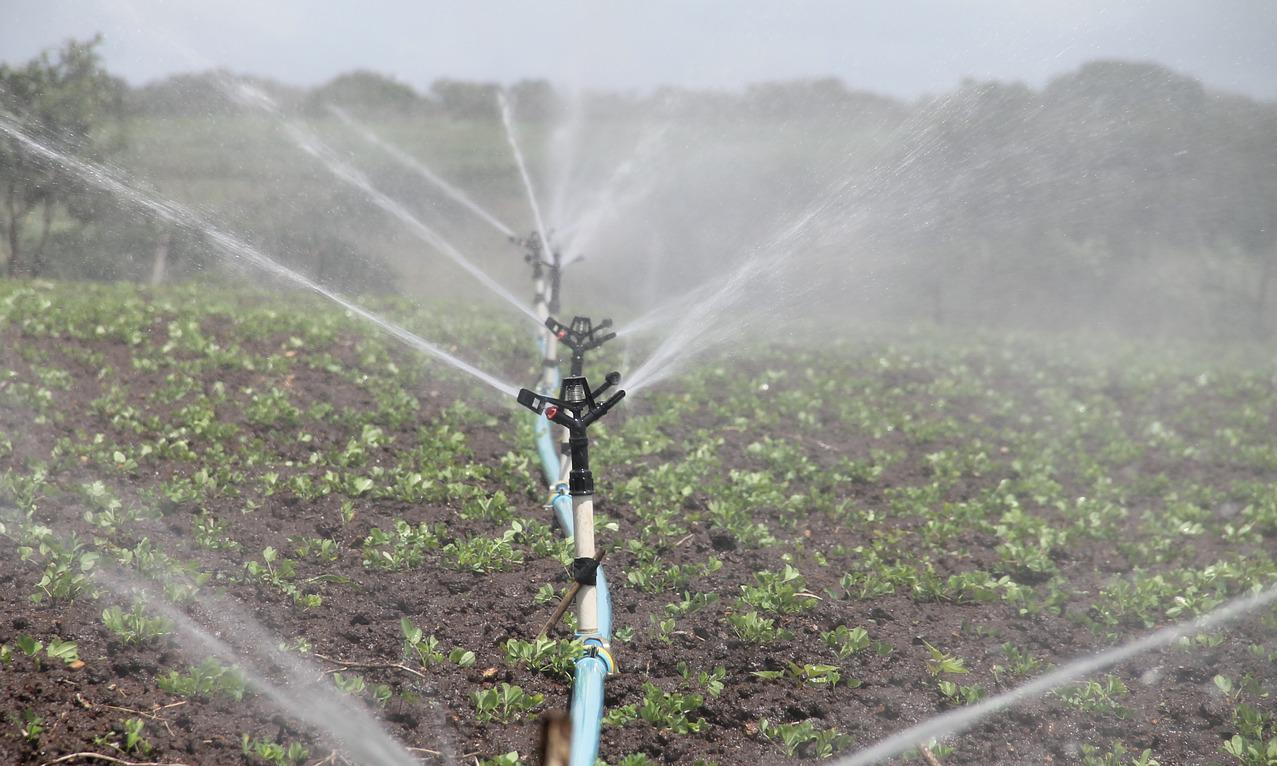 Prórroga de Ley de fomento al riego favorecerá a pequeños y medianos productores agrícolas