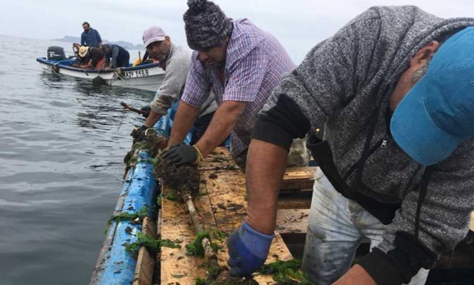 En la nueva Constitución: Buscan incorporar la soberanía geopolítica y alimentaria del mar