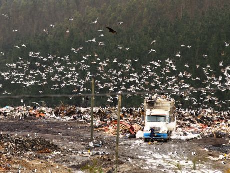 Biobío: SMA ordenó medidas provisionales tras derrame de Relleno Sanitario e Industrial Hidronor Copiulemu