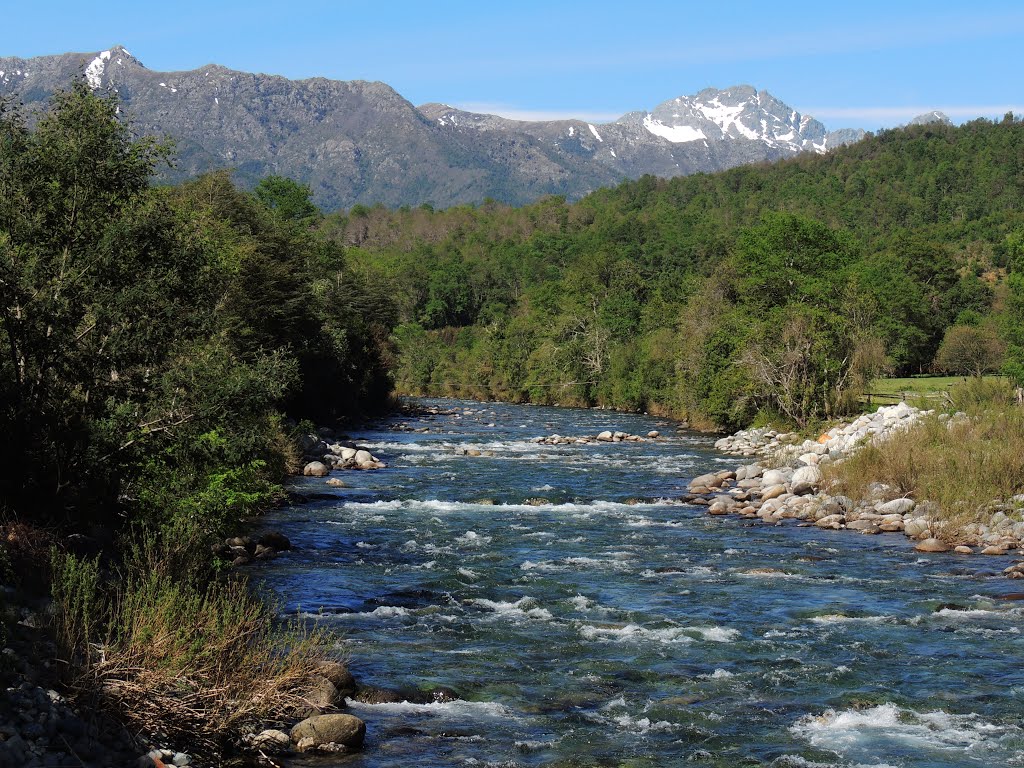 Consejeros regionales rechazan construcción de central hidroeléctrica de pasada en río Quillaileo