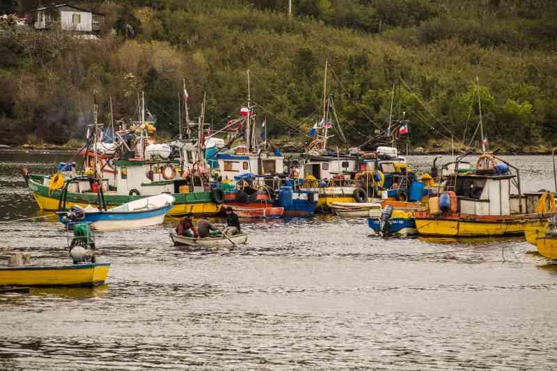 Congreso despacha a ley proyecto que convertiría a Chile en el primer país del mundo en establecer una cuota de género en la Pesca