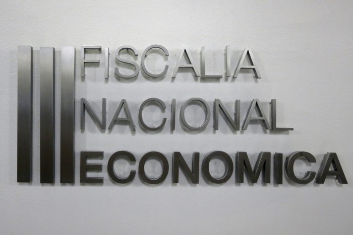 FNE confirma denuncias por posible colusión del gas licuado ante comisión de la Cámara de Diputados