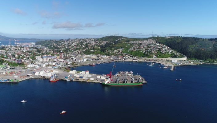 Preocupación en Talcahuano ante arribo de buque con carga de salmones muertos