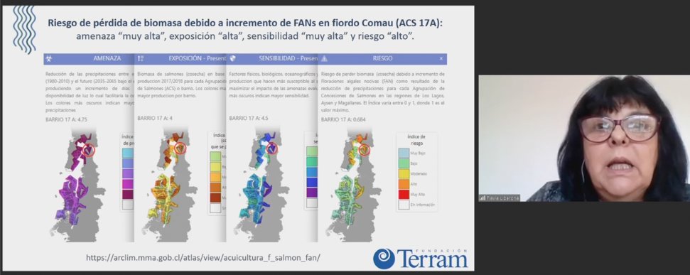 Flavia Liberona sobre mortalidad de salmones: “Se debe establecer límite máximo a la biomasa porque el crecimiento vía modificación de RCA es una trampa”