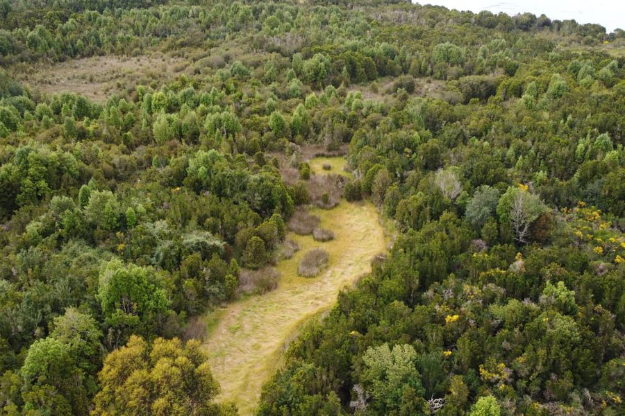 Aprueban creación de tres nuevos santuarios de la naturaleza en Los Lagos: Con 278 hectáreas se conformará la red de turberas de Chiloé