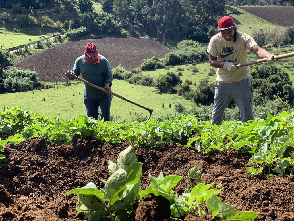 Pedro Toledo: “En Chile, la agricultura tendría que funcionar con la mitad del agua que usa actualmente”