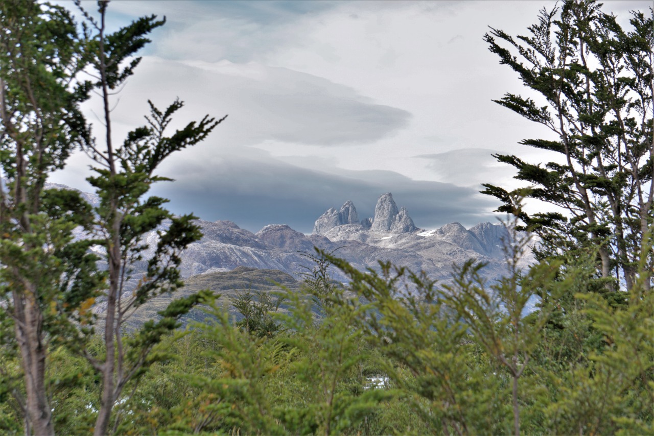 Organizaciones piden que la nueva Constitución consagre la protección de la naturaleza y reconozca el valor ambiental de la Patagonia chilena