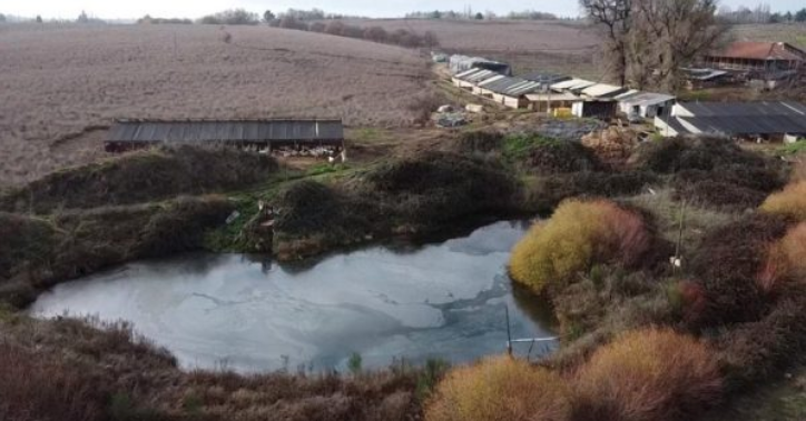 Familia Matthei desvió estero para su lechería: la acusan de crear la “Freirina del Bío Bío”