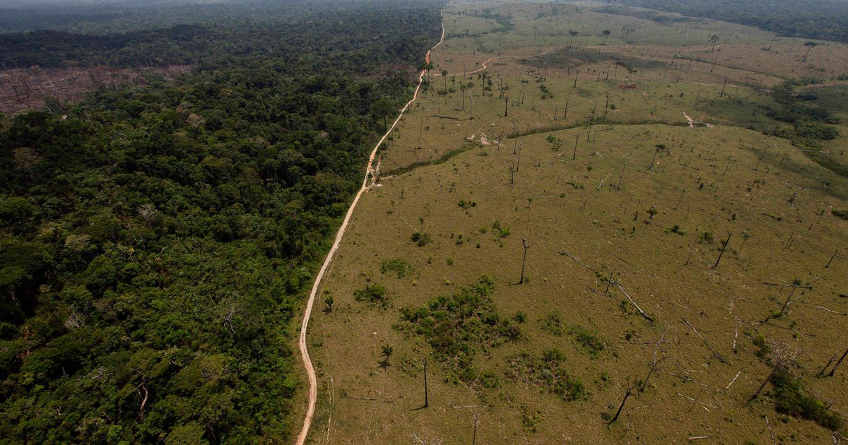 Advierten que cambio climático podría propiciar una nueva pandemia