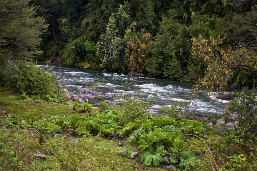 130 organizaciones medioambientales denuncian nuevo acto de amedrentamiento a defensor ambiental