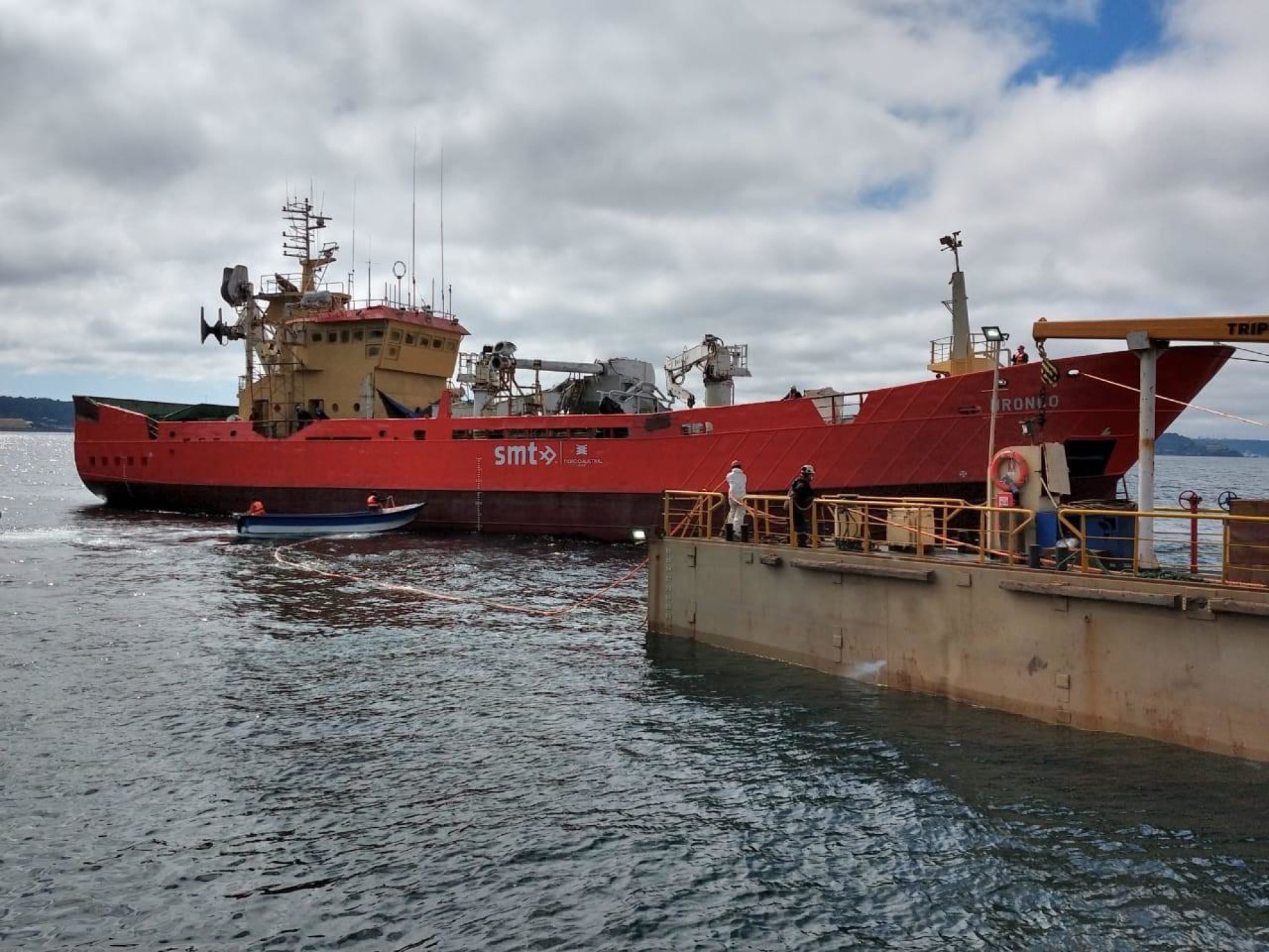 Fiordo Austral potencia traslado de silo y mortalidad masiva con nueva nave mayor
