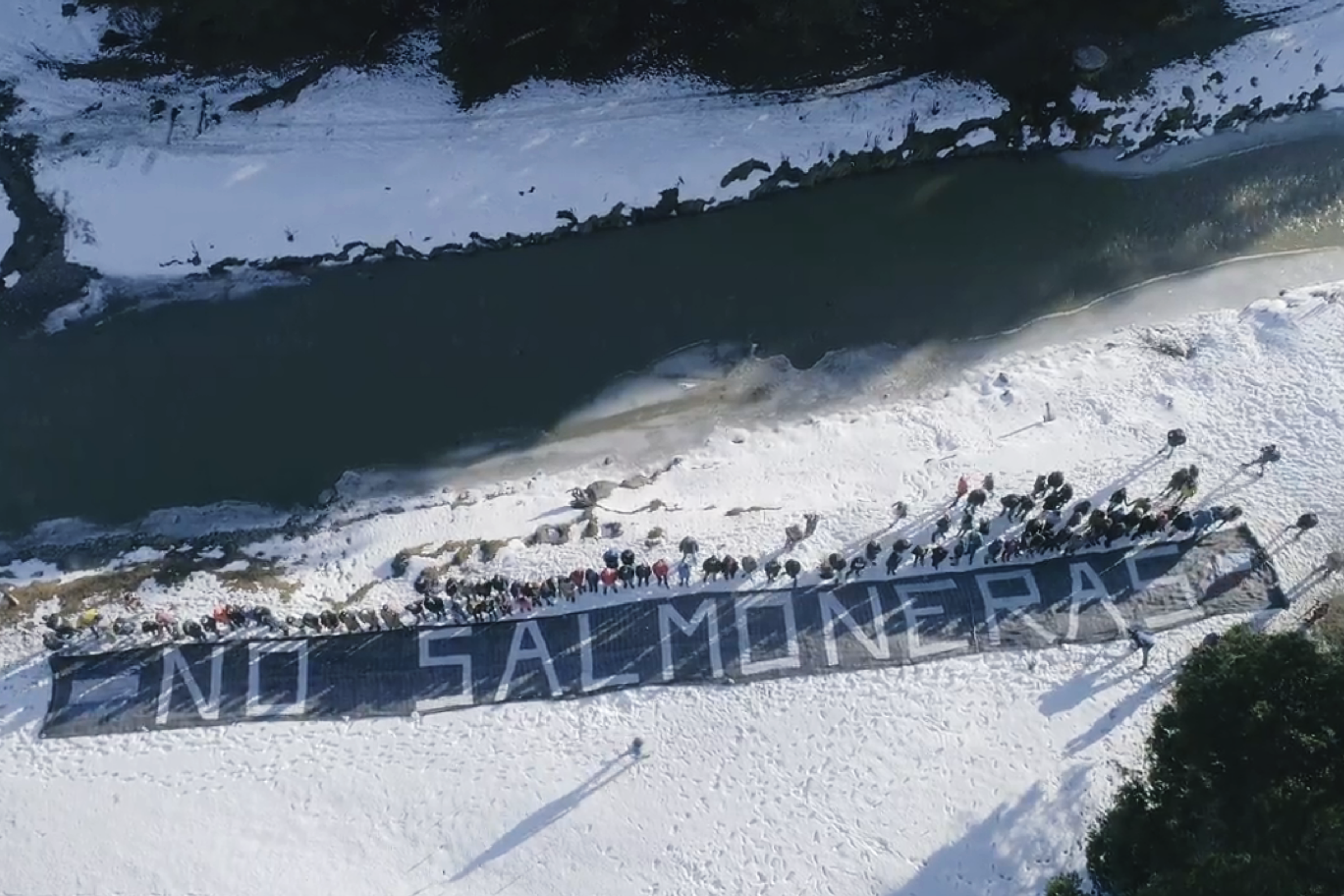 Histórico: Argentina prohibió las salmoneras en Tierra del Fuego