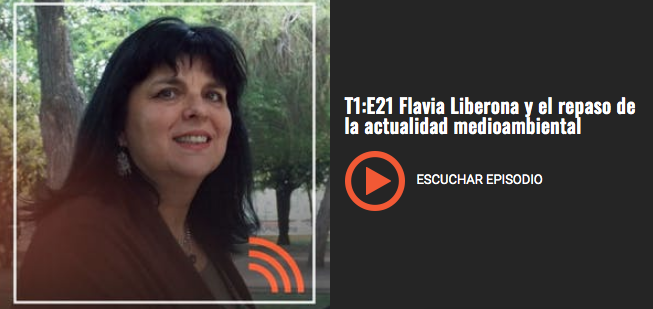 Flavia Liberona: “La transición a las energías renovables en Chile no está bien diseñada”