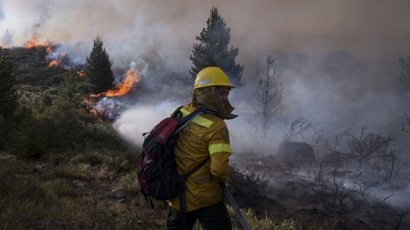 Se quemaron 1.273 hectáreas del Parque Nacional Patagonia