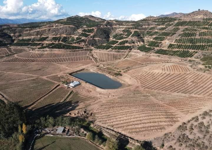 Corte Suprema falla en favor de los habitantes de Pichidegua en su batalla por el agua y su bosque nativo