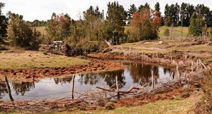 Solicitan a Vallespín declarar Estado de Emergencia Climática y Ambiental en Los Lagos