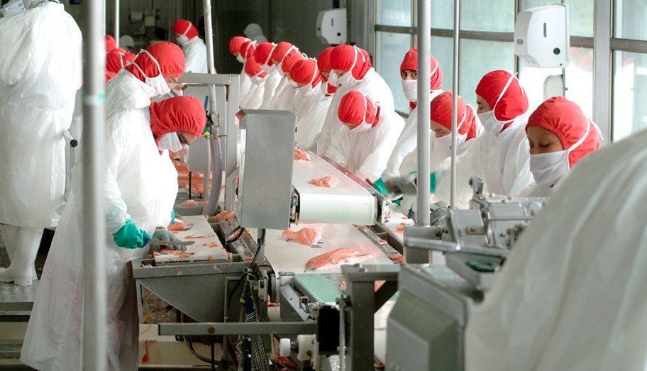 Senador Quinteros exige reconocer enfermedades laborales de trabajadoras del salmón