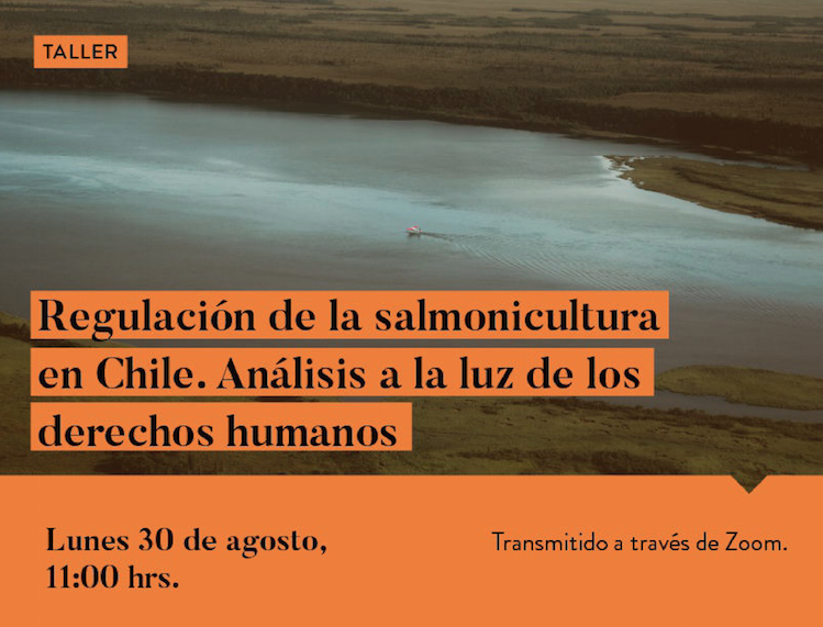 Taller: “Regulación de la Salmonicultura en Chile. Análisis a la luz de los Derechos Humanos”