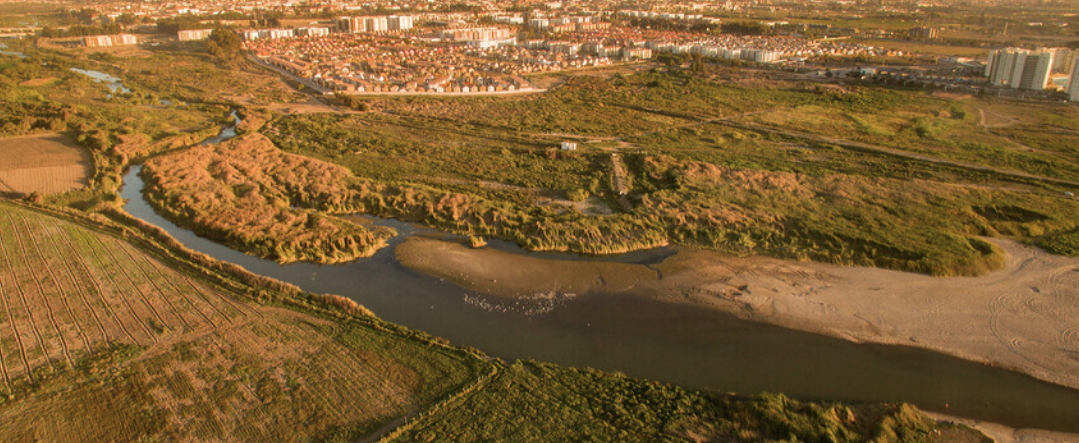SEREMI del Medio Ambiente de la Región de Coquimbo anuncia la pronta declaración de Humedal Urbano del Río Elqui