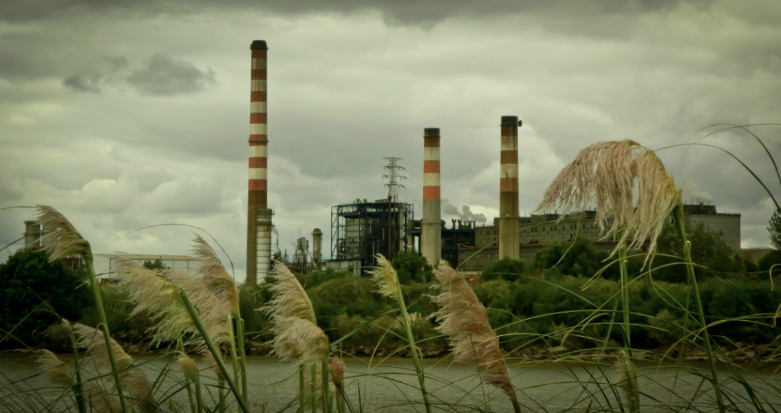 Ecología en la Constitución: “El medioambiente no puede ser un bien de consumo para Chile”