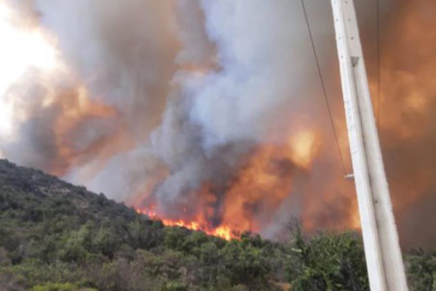 Más de 100 hectáreas quemadas: Onemi emite alerta roja por incendio forestal en Til Til