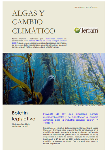 Boletín Algas y Cambio Climático