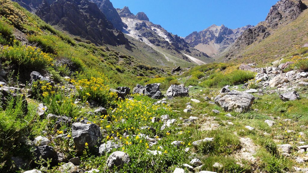 GEF Montaña es cuestionado por irregularidades éticas