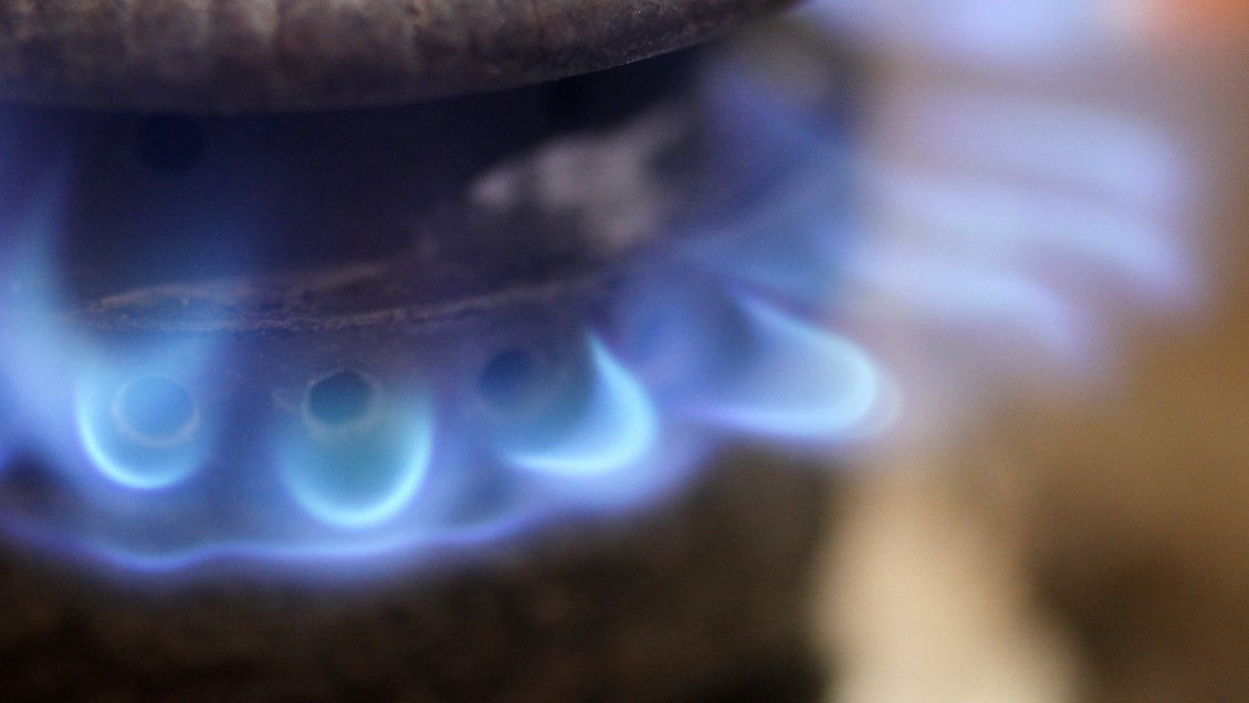 Congreso comenzó a estudiar ley que facultaría a ENAP para distribuir y comercializar gas licuado